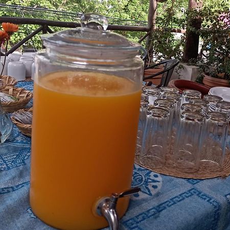 Mio Tulum Hotel Boutique エクステリア 写真 A glass dispenser of freshly squeezed orange juice